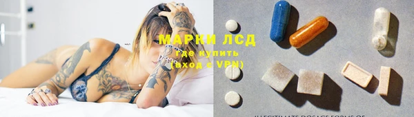 индика Медногорск