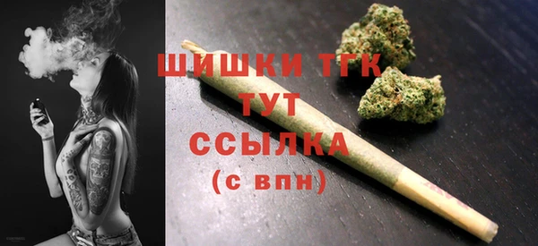 прущие грибы Уссурийск